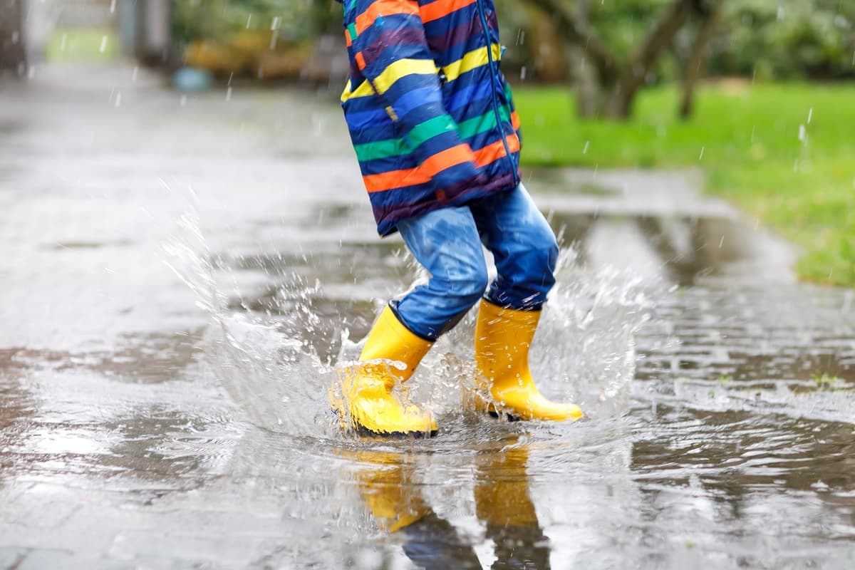 Gele Laarsjes 2019 1200Pxhp